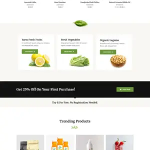 Simplex Ecommerce